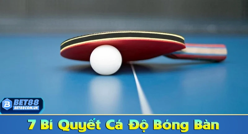 Bí quyết cá độ bóng bàn hiệu quả nhất